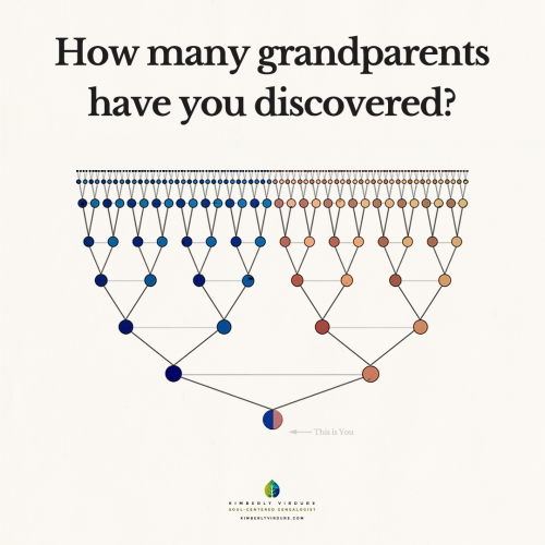 How many grandparents have you discovered?