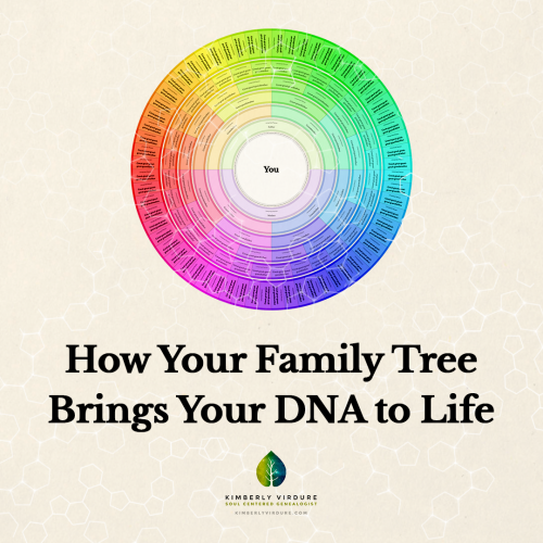 How Your Family Tree Brings Your DNA to Life