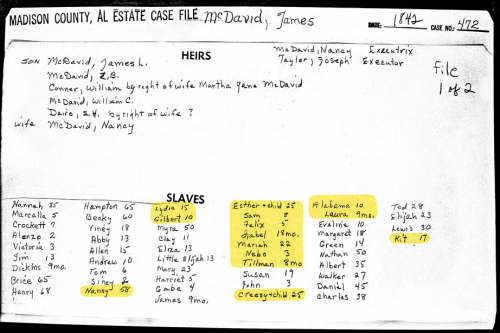 James McDavid Sr.: Heirs and Enslaved Documented in 1842 Will and Probate Records